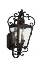  9332-270 - Brixton Ivy - 2 Light Outdoor Lantern