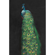 Art by Cartwright 52GCFC0559-STKP - Peacock