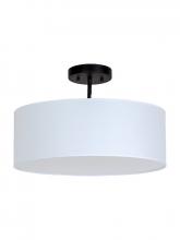  D624BK-18WH - Collins Pendant