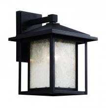  40361 WB - 1LT WALL LANTERN-MD-SEEDED-WB