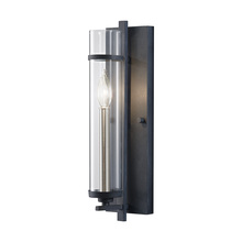 Generation Lighting WB1560AF/BS - Wall Sconce