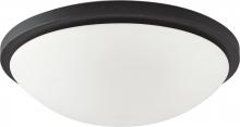  60/2949 - 4-Light Dome Flush Mount Lighting Fixture in Textured Black Finish with White Glass and (4) 13W GU24