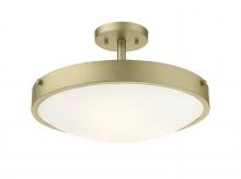 Lighting by CARTWRIGHT TRS1020BNG - Jasper Semi-Flush Mount