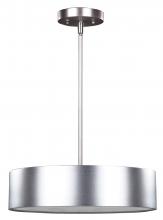  IPL318A03AL - Dexter, 3 Lt Pendant, 100 W Type A, 15 3/4" W x 58 1/2" H