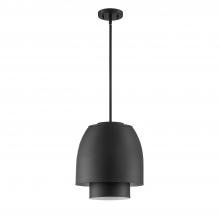  PF256-BLK - 1 LIGHT PENDANT