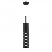  PF258-BLK - 1 LIGHT PENDANT