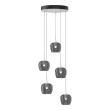 Hubbardton Forge - Canada 131123-SKT-STND-02-YL0709 - Ume 5-Light Pendant