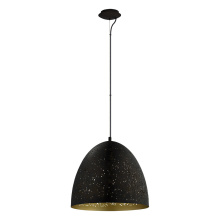 Eglo 202081A - 1 LT Pendant w/ Matte Black Finish & Matte Black w/ Gold Interior Metal Shade