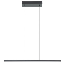 Eglo 206045A - 1 LT Integrated LED Linear Pendant w/ Black Finish & White Diffuser